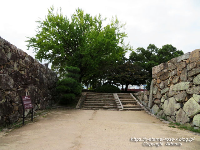 20.10.11.3 岡山城  (35)