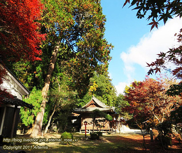 20.11.21.3 備中高梁稲荷神社  (31)