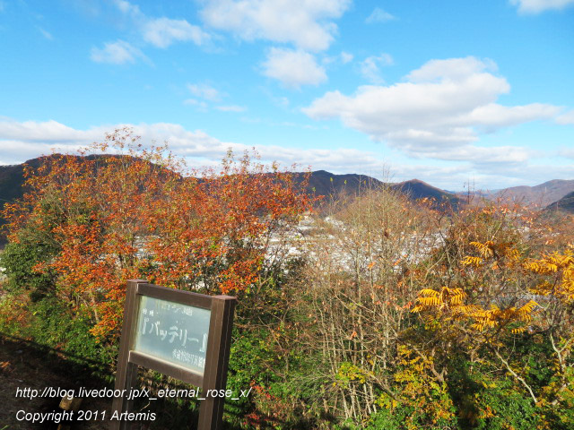 20.11.21.1 鬼の城 高梁ループ橋 (19)