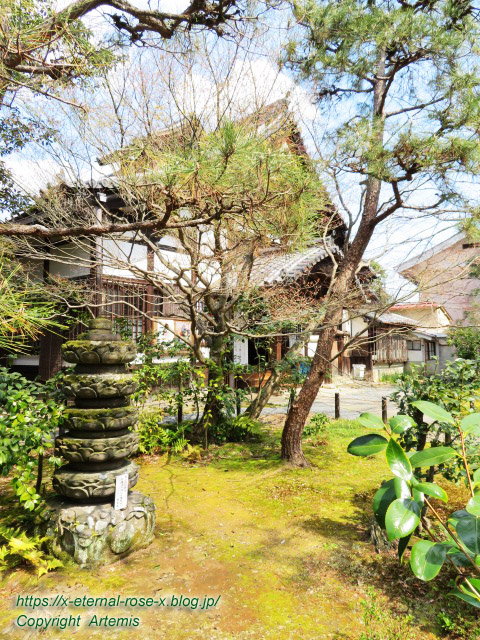 20.3.19.6 清涼寺 (13)