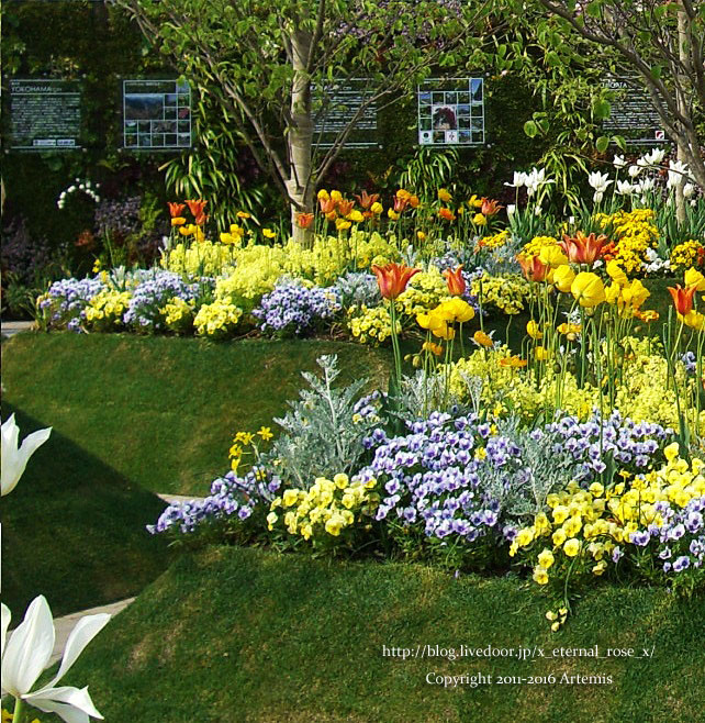 27 おかやま花だより  (52)