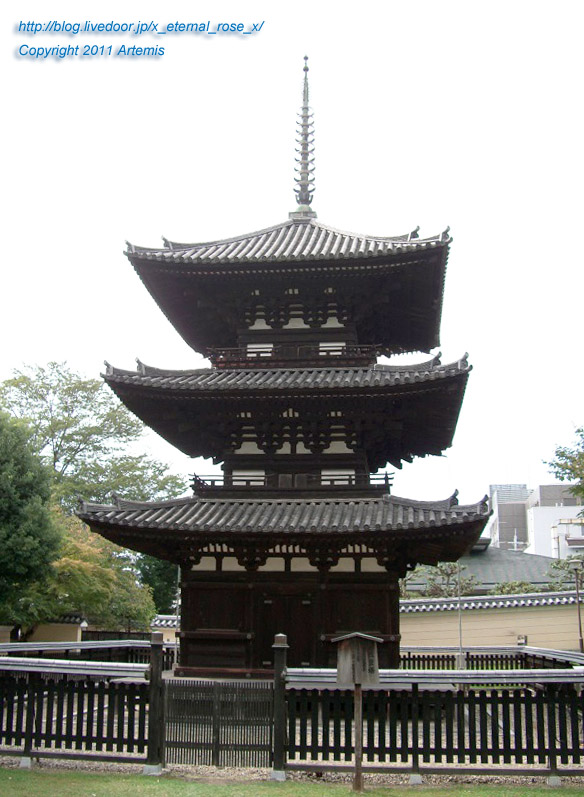 10.10.17.1 興福寺 (14)