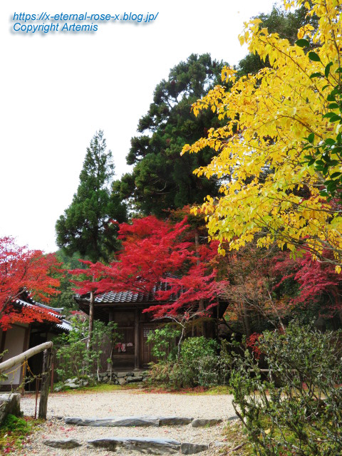 19.11.27 高雄 神護寺 (147)