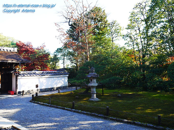 19.11.23.7 妙心寺 退蔵院  (111)
