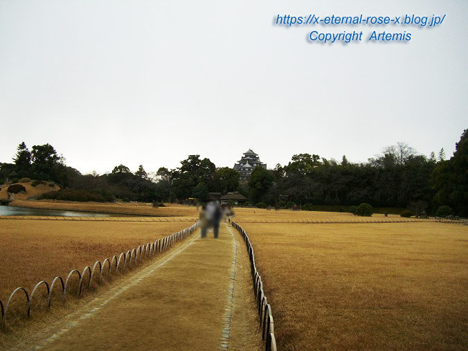 11.1.1 岡山後楽園 (9)