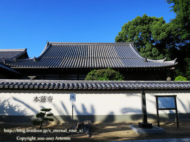 10 本蓮寺 (3)