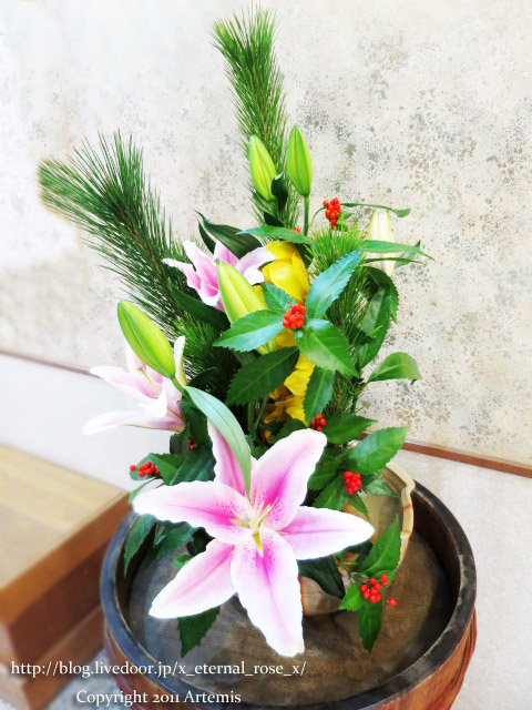 19.1.1.2 岡山城  (14)