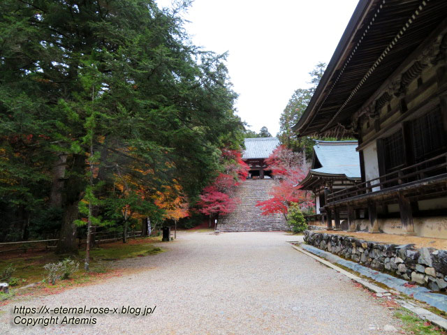 19.11.27 高雄 神護寺 (71)