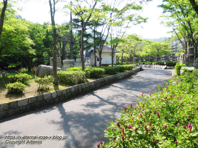 17.5.1.9 太陽公園 石のエリア (57)