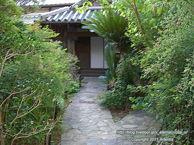 10.10.17.5 新薬師寺 (14)