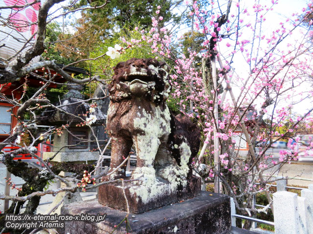 23.3.2.1  長岡天満宮  (45)