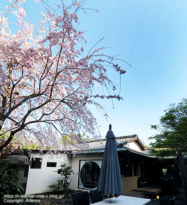 22.4.7 sonoka そばの実スイーツ  (86)