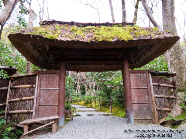 20.3.19.9 祇王寺  (20)
