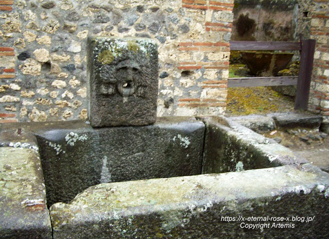 11.6.1.8 ポンペイ遺跡 水道　 (122)