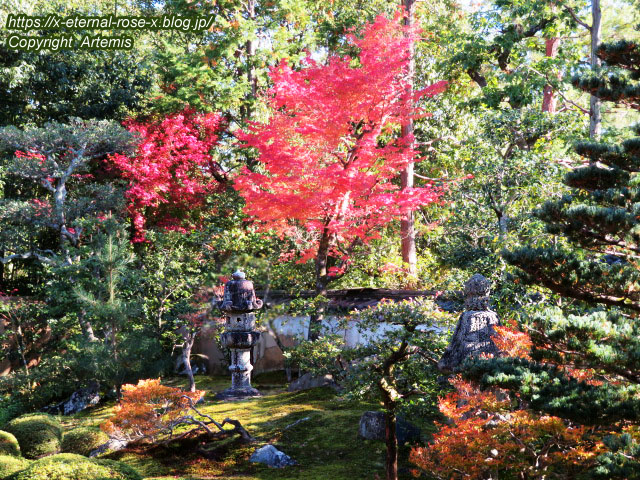 19.11.23.4 大雄院 (38)