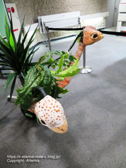 19.8.18.1 恐竜動物園 (134)