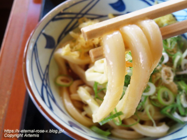 23.8.16 丸亀製麺 十日市店 (26)