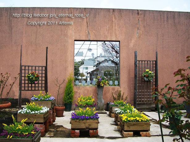 10.4.18 チューリップ四季彩館  (41)