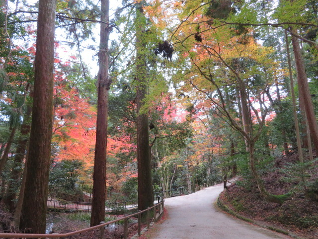 19.11.27 高雄 神護寺  (128)
