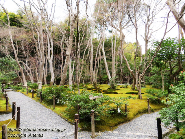 20.3.19.9 祇王寺  (41)