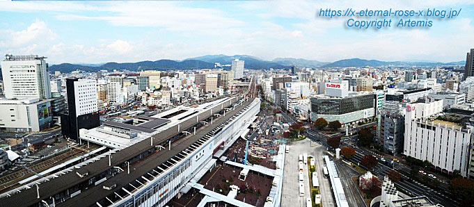 21.11.14 ホテルグランヴィア岡山 備彩  (61)