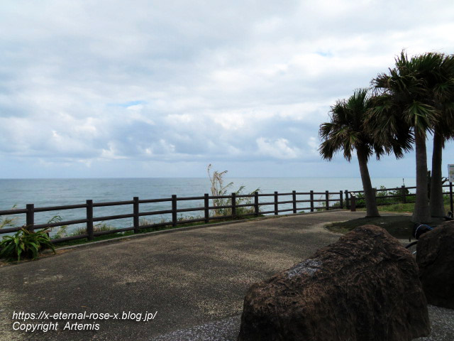 20.11.1.5 いるか岬  (18)