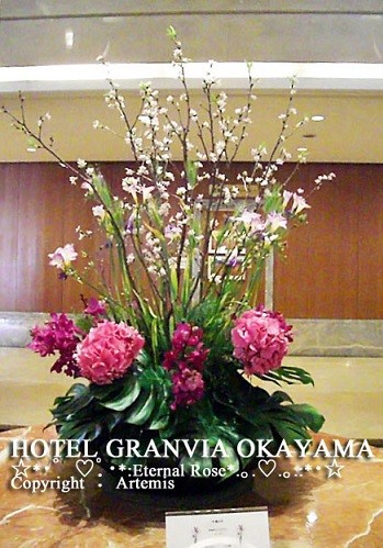 イメージ 3