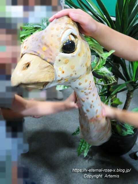 19.8.18.1 恐竜動物園 (132)