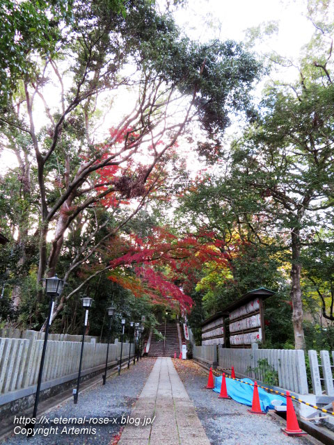 19.11.26.4 長岡天神 (67)