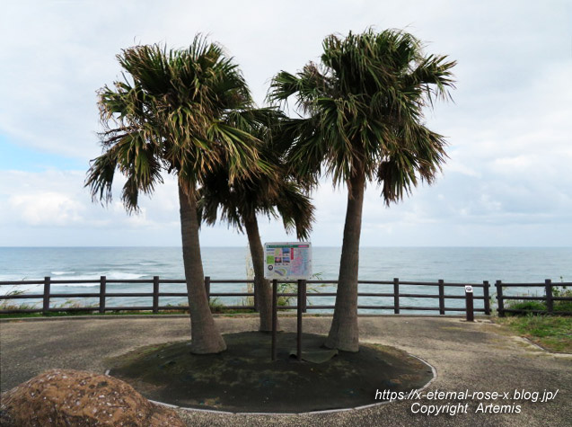 20.11.1.5 いるか岬  (15)