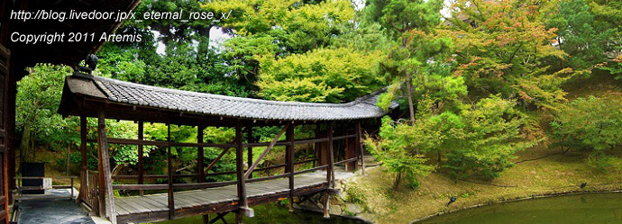 10.10.20.9 高台寺  (40)