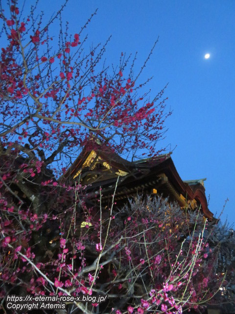 23.3.3. 北野天満宮 (14)