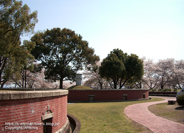 11.4.14.1 半田山植物園  (91)