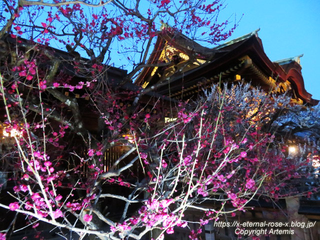 23.3. 北野天満宮 (39)