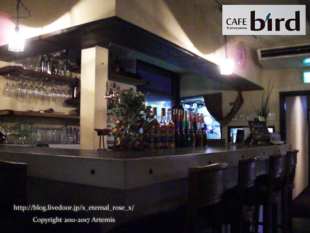 11 カフェバード  (15)