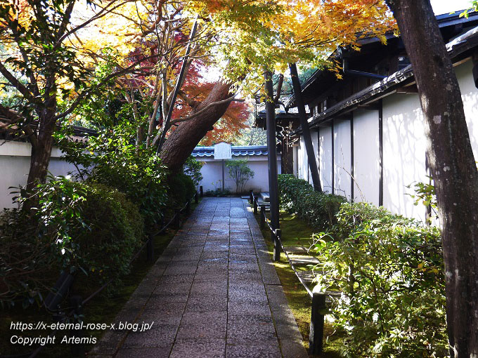 19.11.23.7 妙心寺 退蔵院  (104)
