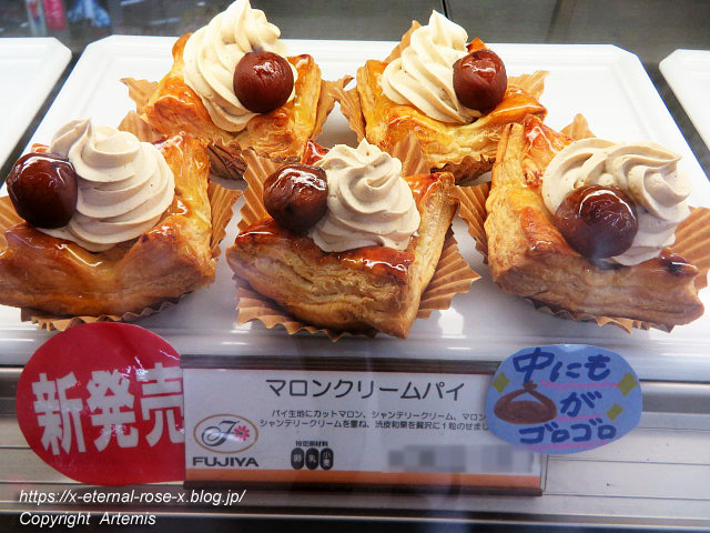 21.3.4 FUJIYA KOBE ゆめタウン平島店 (29)