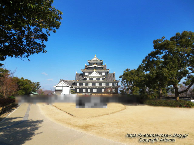 23.1.1.1 岡山城  (44)