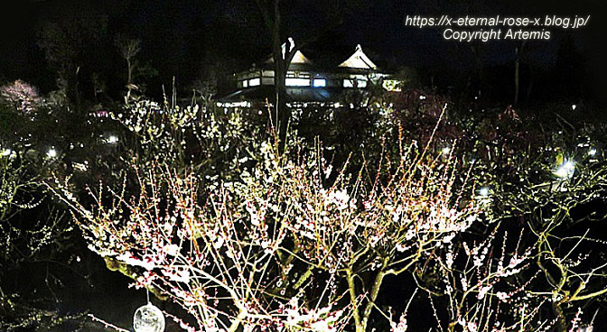 23.3.3. 北野天満宮   (146)