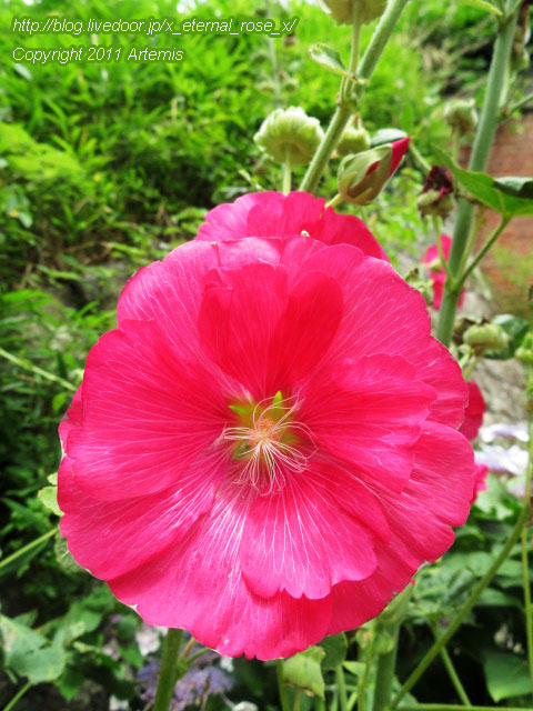 19.6.29 四列穴門  (24)