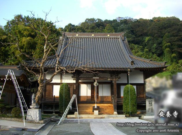 7 安養寺 (3)