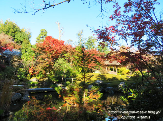 19.11.23.7 妙心寺 退蔵院  (65)