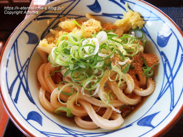 23.8.16 丸亀製麺 十日市店 (22)