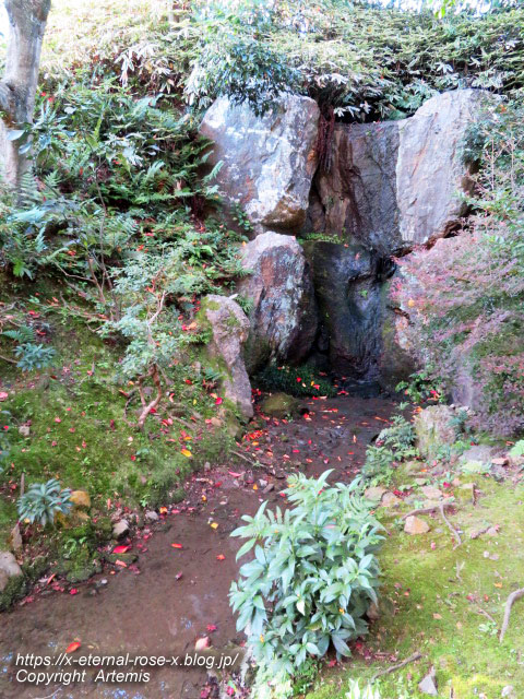 19.11.23.9 法金剛院 (52)