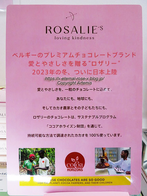 23.2.13. ロザリー (14)