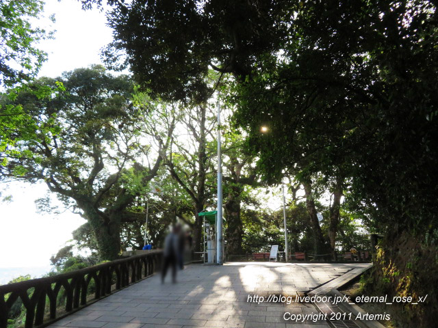 20.10.31.8 城山公園展望台  (19)