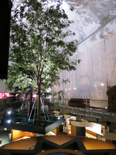 18.11.22.1 旭川博物館  (50)