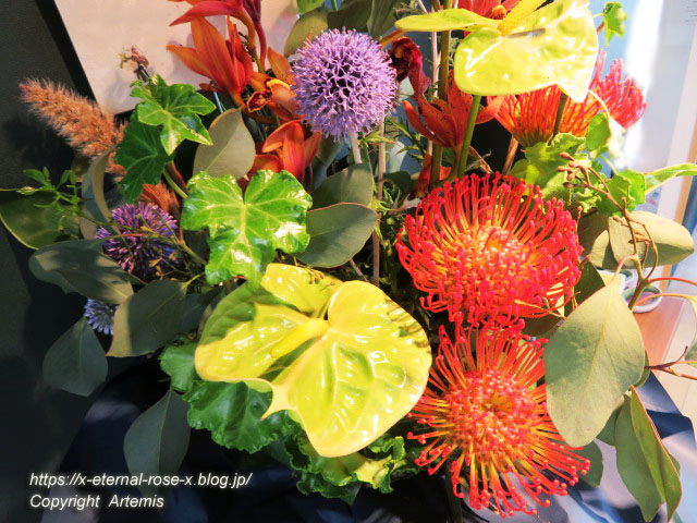 21.8.10.5 モモタロウマルシェ  (18)