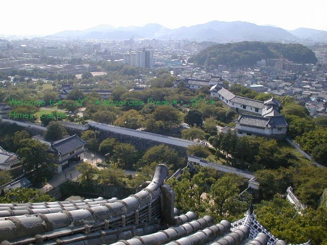 イメージ 1
