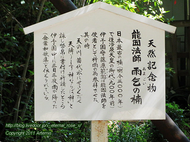 19.9.14.4 伊予國一宮 大山祇神社 (7)